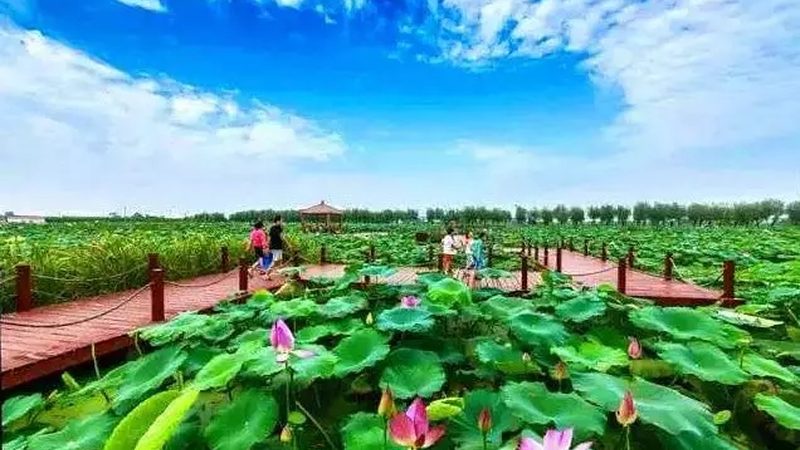 智能温室大棚：农业现代化的关键设施**