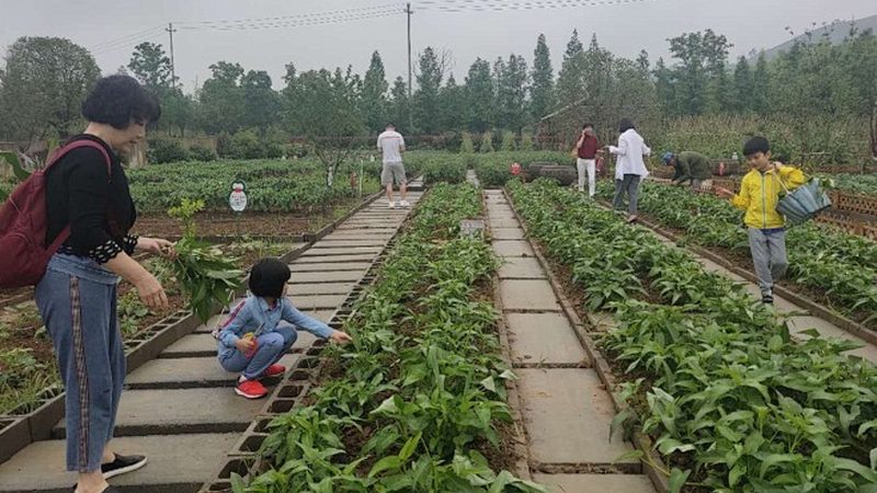 四川农技推广站：如何获取有效联系方式**