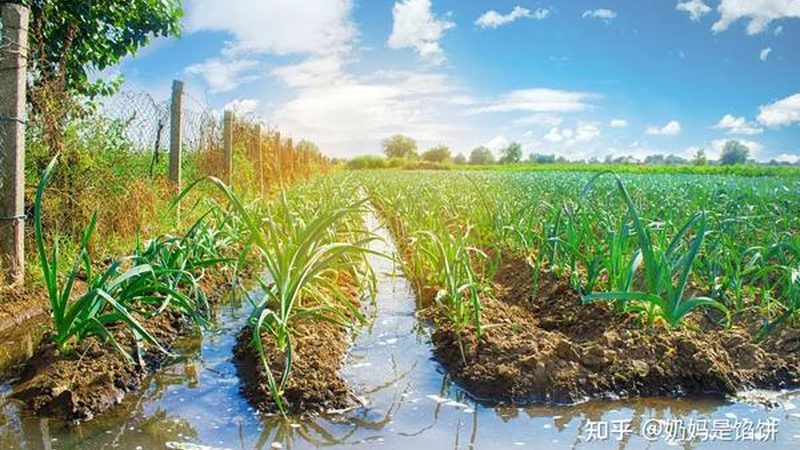 农机合作社跨区作业运营方法