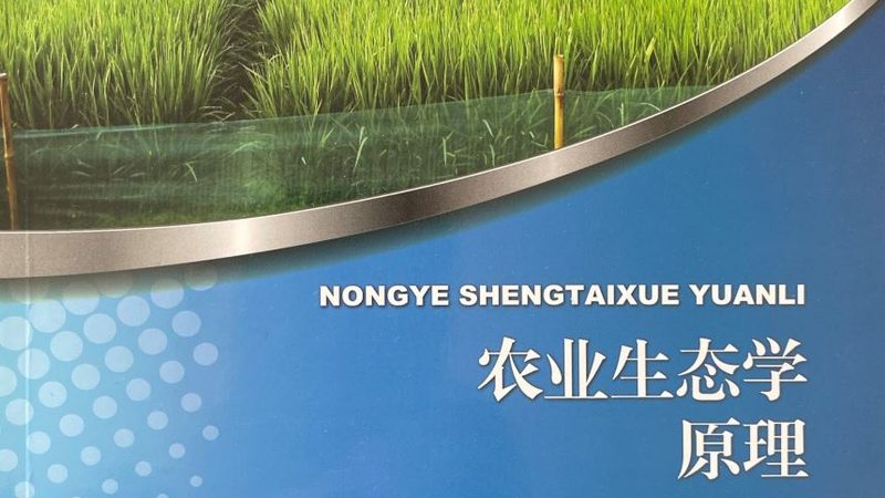 乡村旅游项目投资回报率：如何精准评估与优化