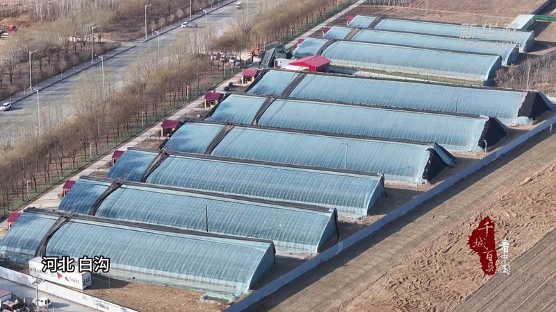 现代农业产业园建设：从规划到落地的关键步骤**