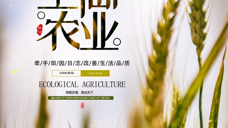 有机蔬菜认证流程：从田间到餐桌的绿色保障